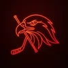 Örn Arena Logo